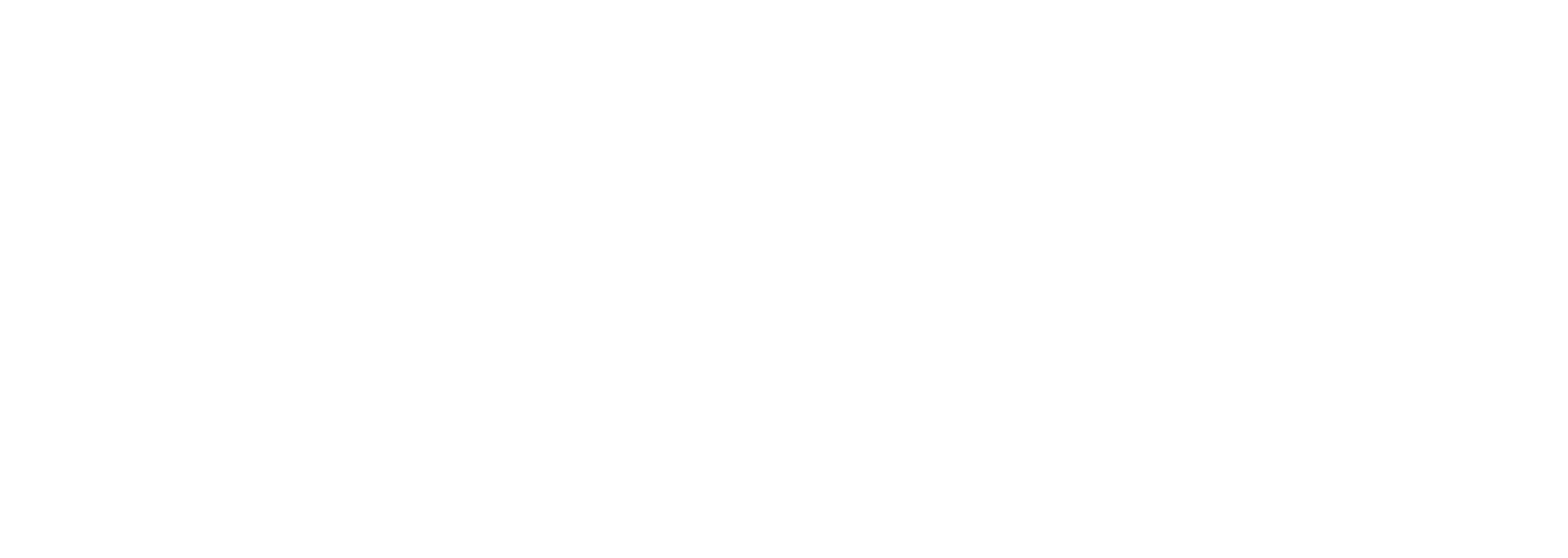 logo gmb blanc
